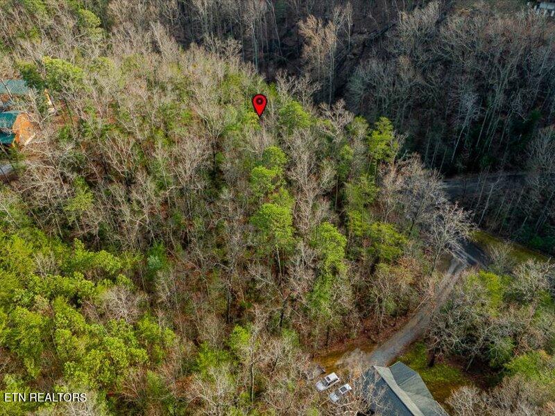 Lot 50 Harvest Moon Road Sevierville, TN 37862 - Photo 6 of 19 09-Harvest Moon Rd Lt50-9