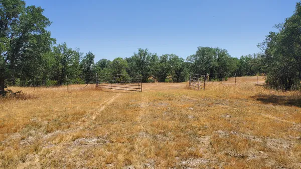 a view of empty room with a trees