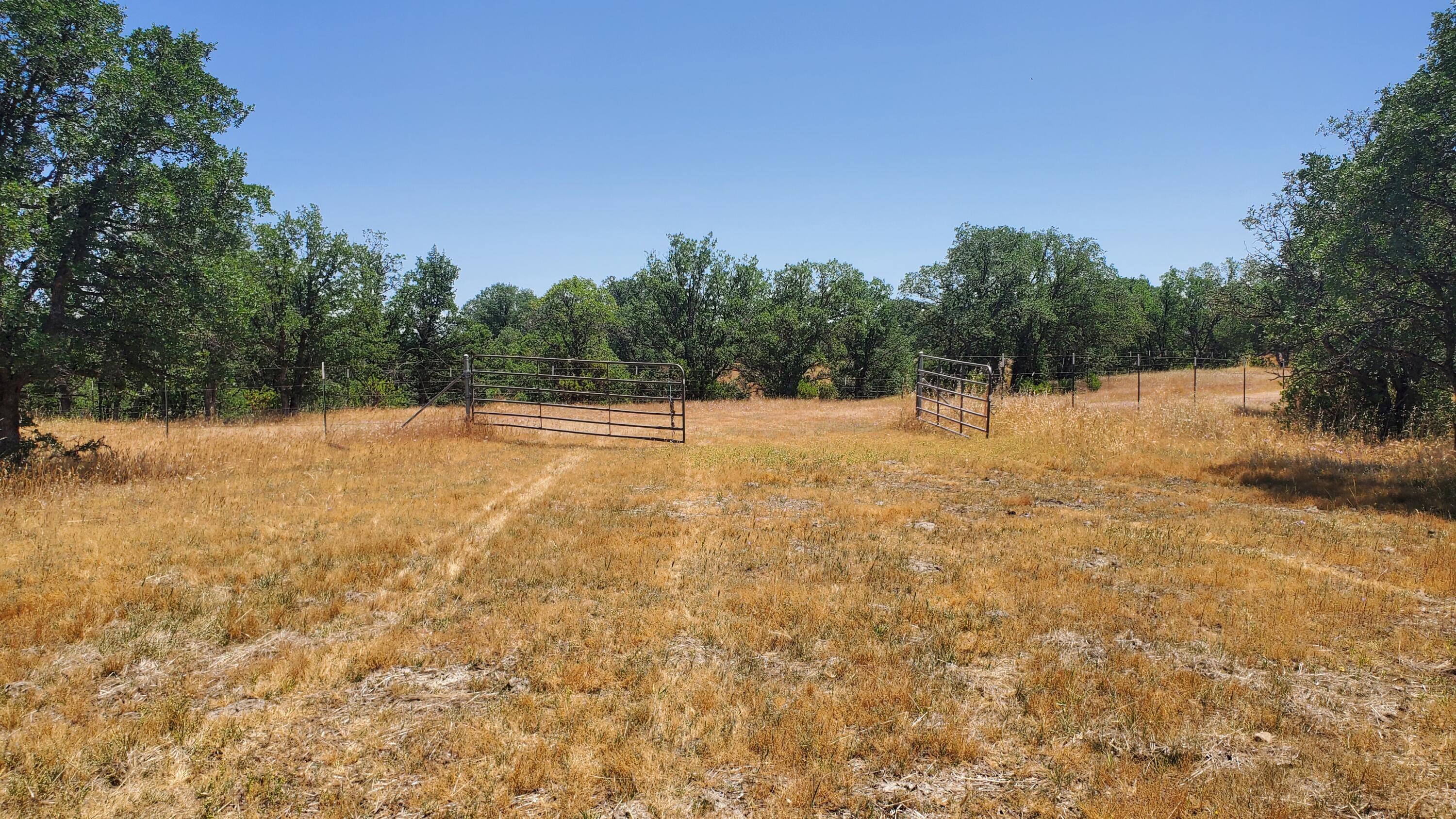 Garrison Road Cottonwood, CA 96022 - Photo 12 of 23 a view of empty room with a trees