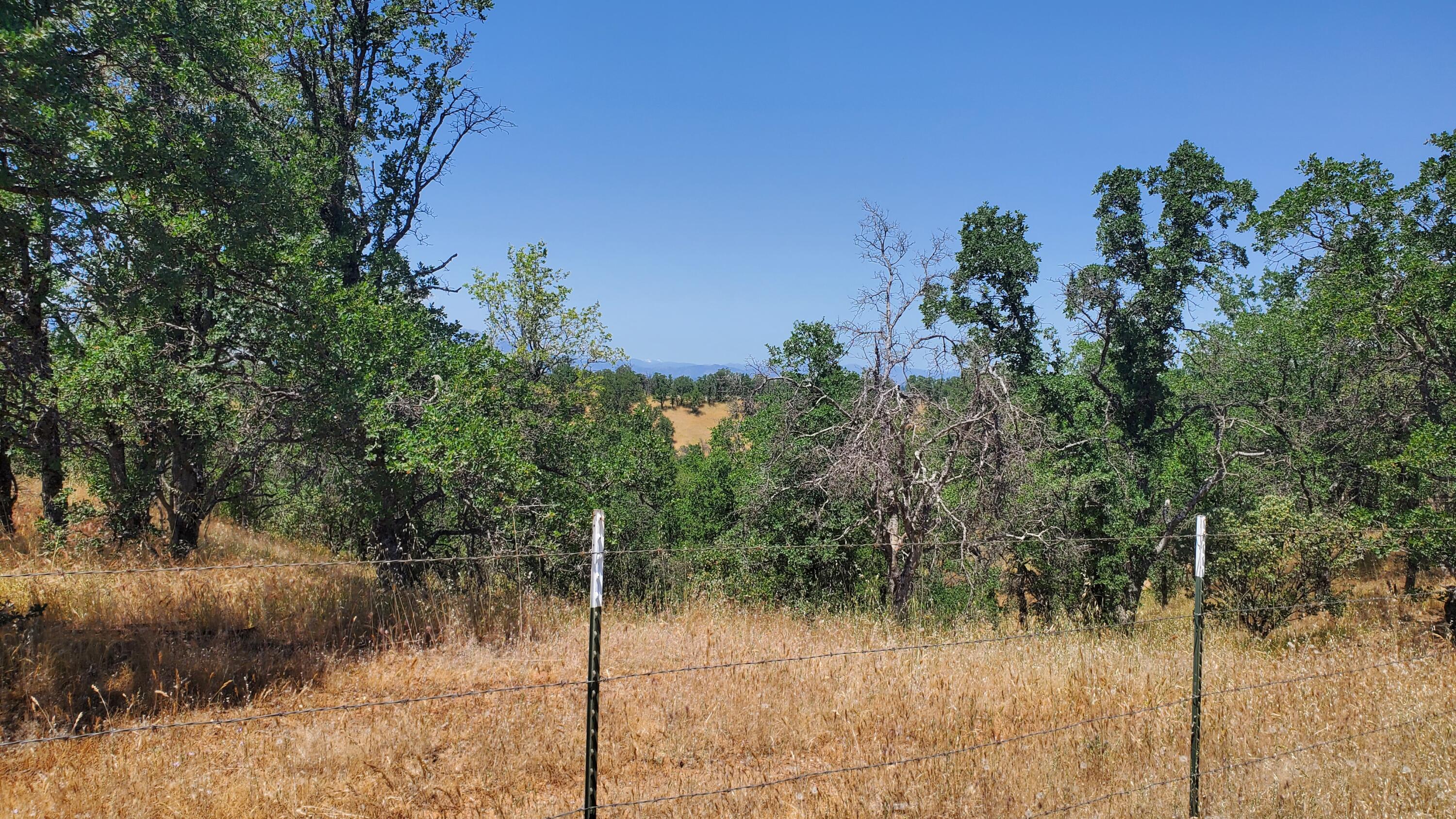 Garrison Road Cottonwood, CA 96022 - Photo 14 of 23 a view of a lake