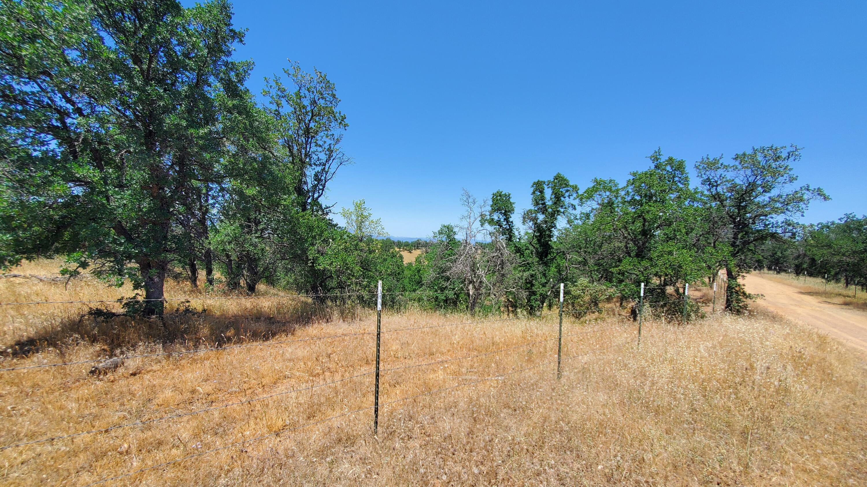Garrison Road Cottonwood, CA 96022 - Photo 15 of 23 a view of a yard
