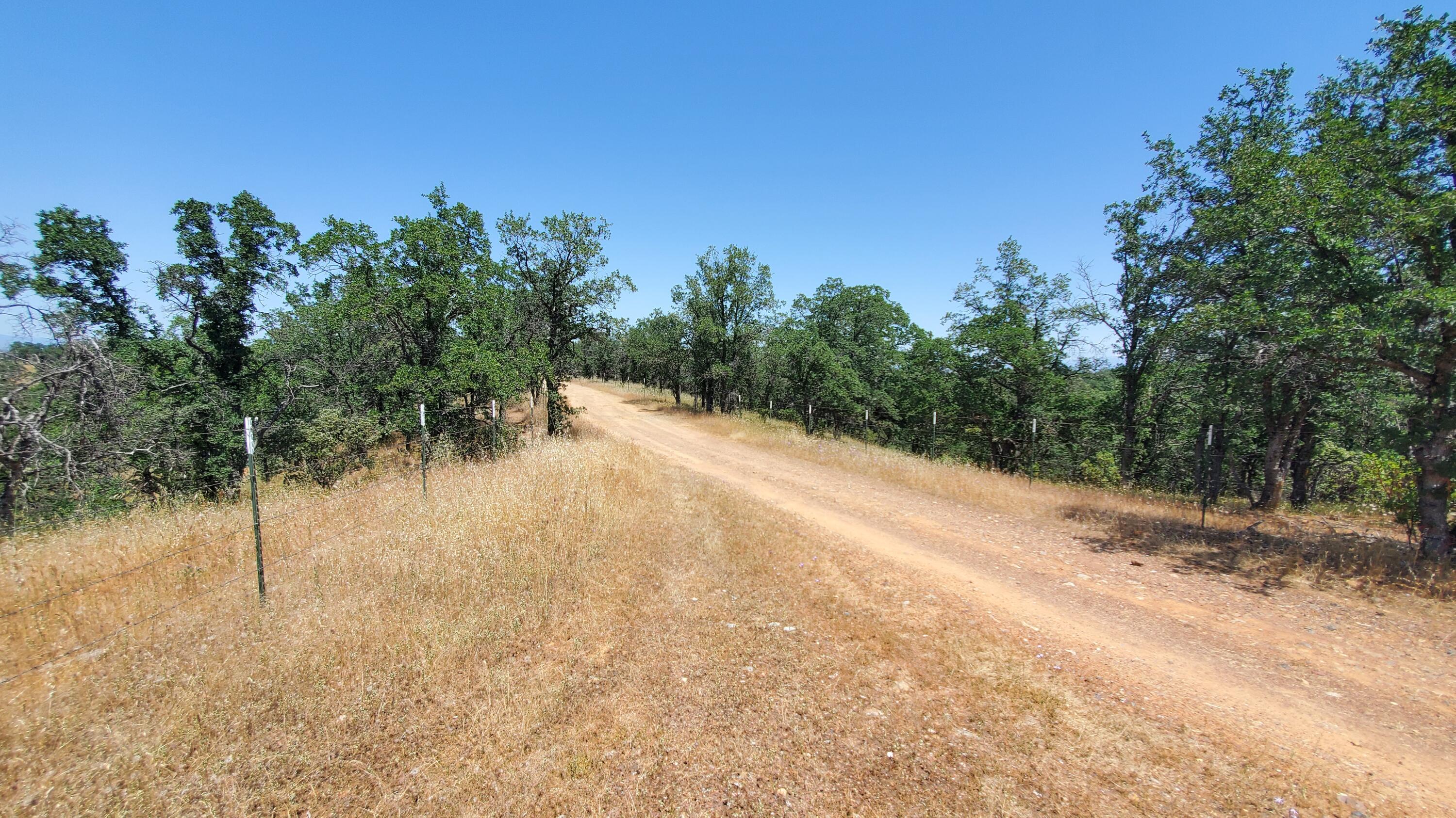 Garrison Road Cottonwood, CA 96022 - Photo 16 of 23 a view of a yard with a tree