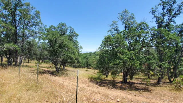 a view of a yard with trees