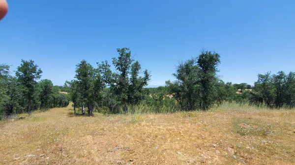 a view of lake with green space