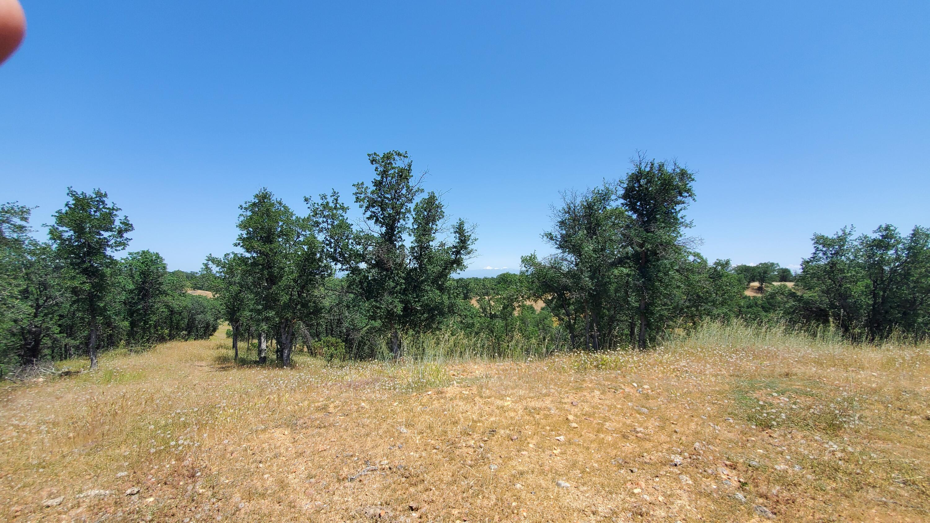 Garrison Road Cottonwood, CA 96022 - Photo 22 of 23 a view of lake with green space