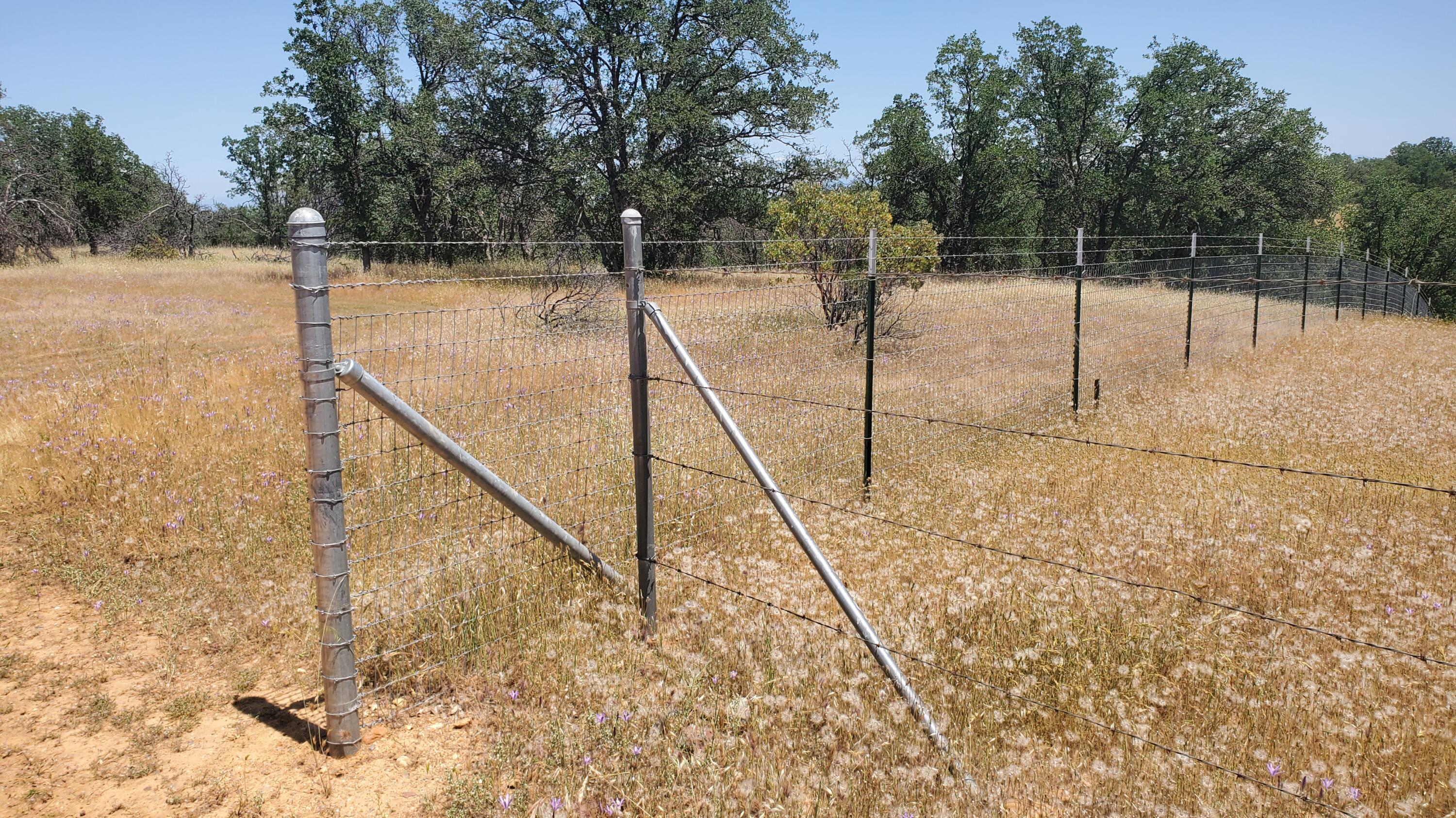 Garrison Road Cottonwood, CA 96022 - Photo 4 of 23 a view of a forest
