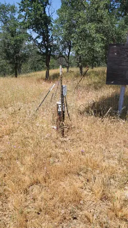 a backyard of a house