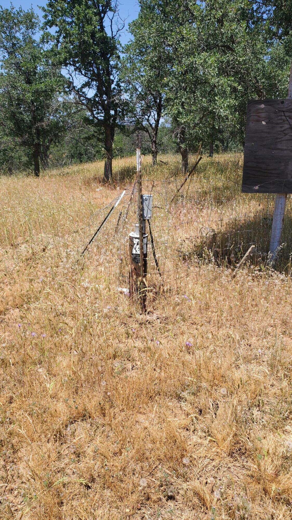 Garrison Road Cottonwood, CA 96022 - Photo 5 of 23 a backyard of a house