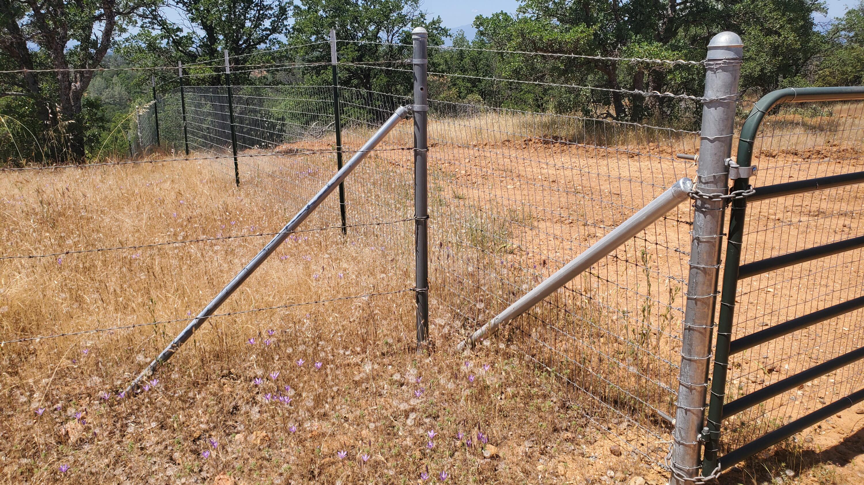 Garrison Road Cottonwood, CA 96022 - Photo 6 of 23 a lake view with a lake view