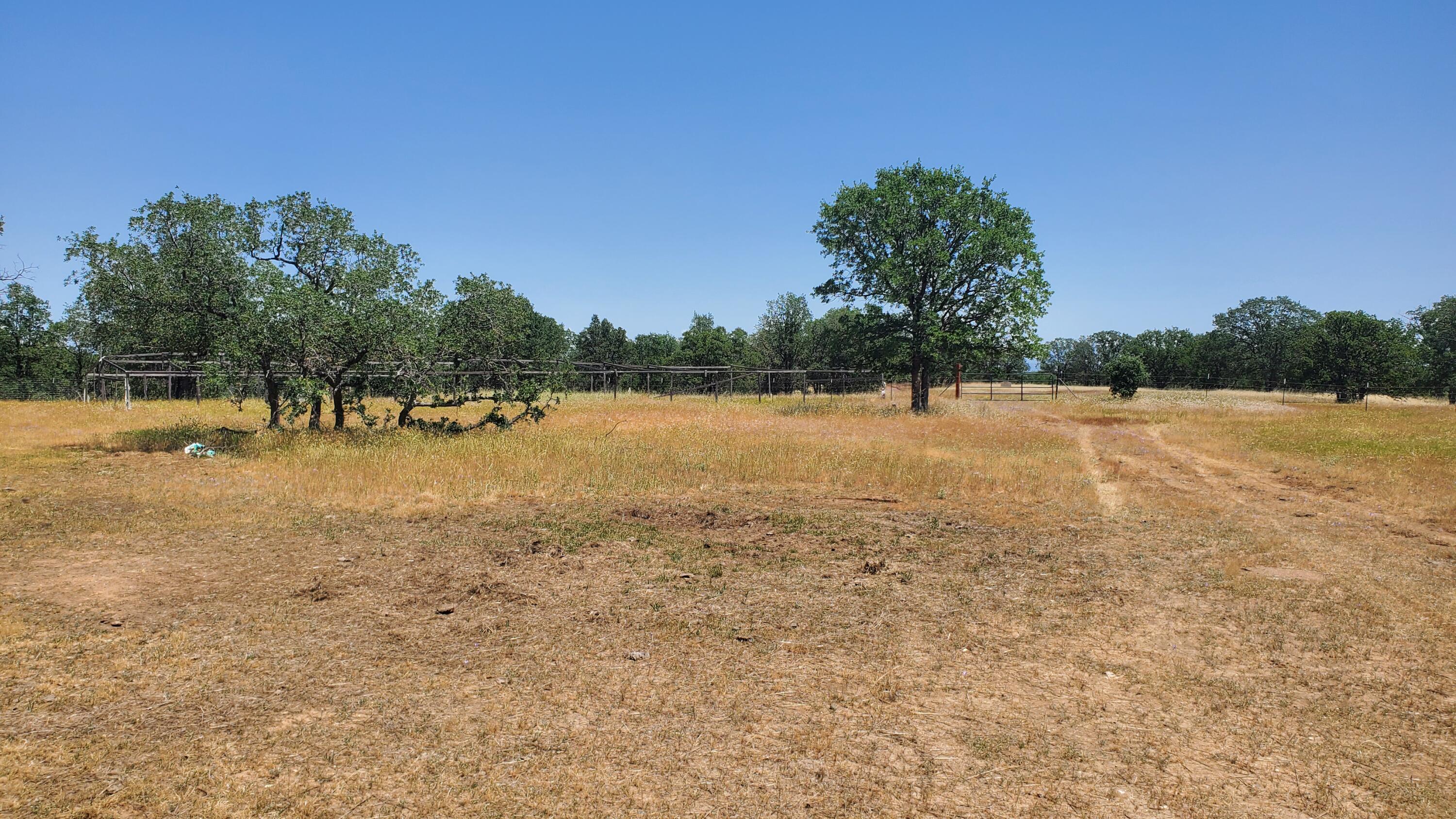 Garrison Road Cottonwood, CA 96022 - Photo 7 of 23 a view of a lake with trees in the background