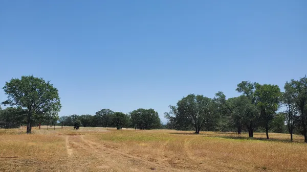 a view of outdoor space with trees in the background