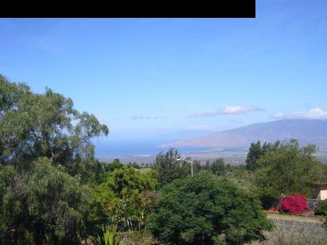 347 Holopuni Road Kula, HI 96790 - Photo 16 of 22 a view of a city