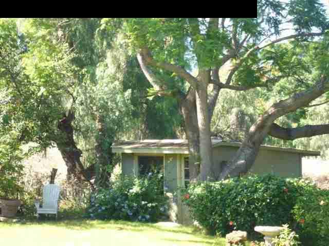 347 Holopuni Road Kula, HI 96790 - Photo 19 of 22 a view of a back yard of the house