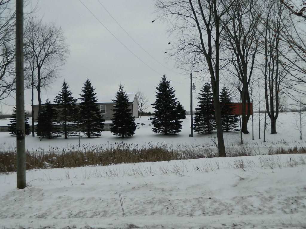 8043 South Rolland Road Blanchard, MI 49310 - Photo 3 of 23 1807562-2.JPG