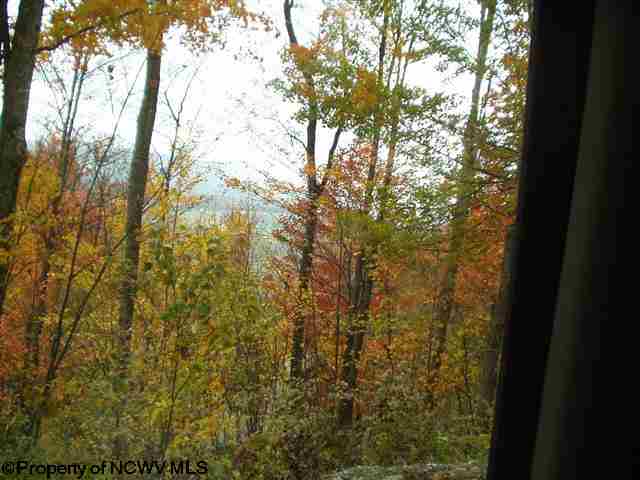 154 Hikers Challenge Road Davis, WV 26260 - Photo 19 of 20 Gallery Image 19