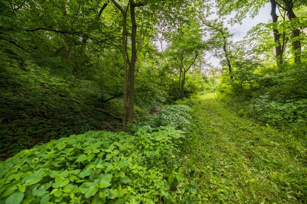 13277 Norris Road Rayville, MO 64084 - Photo 25 of 55