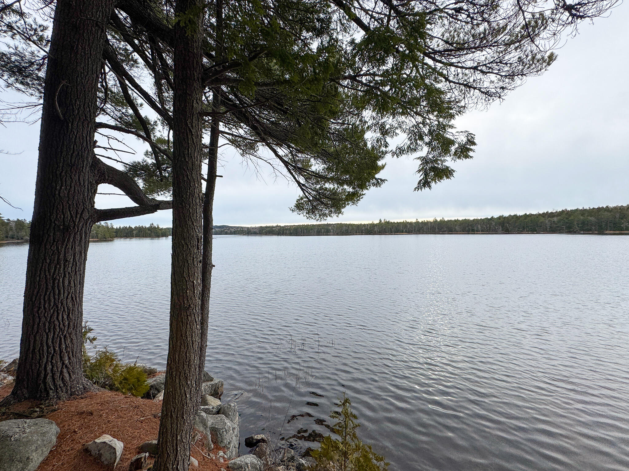 24 Deer Point Road West Robbinston, ME 04671 - Photo 15 of 36 15