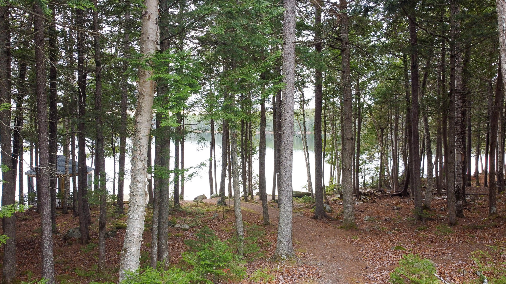 24 Deer Point Road West Robbinston, ME 04671 - Photo 7 of 36 7