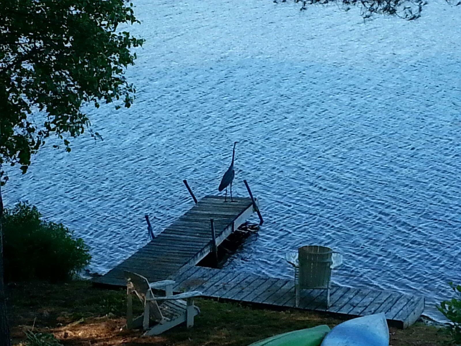 172 Varney Road Barnstead, NH 03225 - Photo 40 of 40