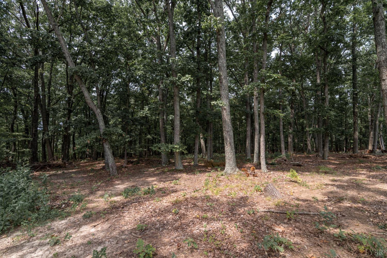 4366 Shingle Block Road Bedford, VA 24523 - Photo 39 of 40 Gallery Image 39