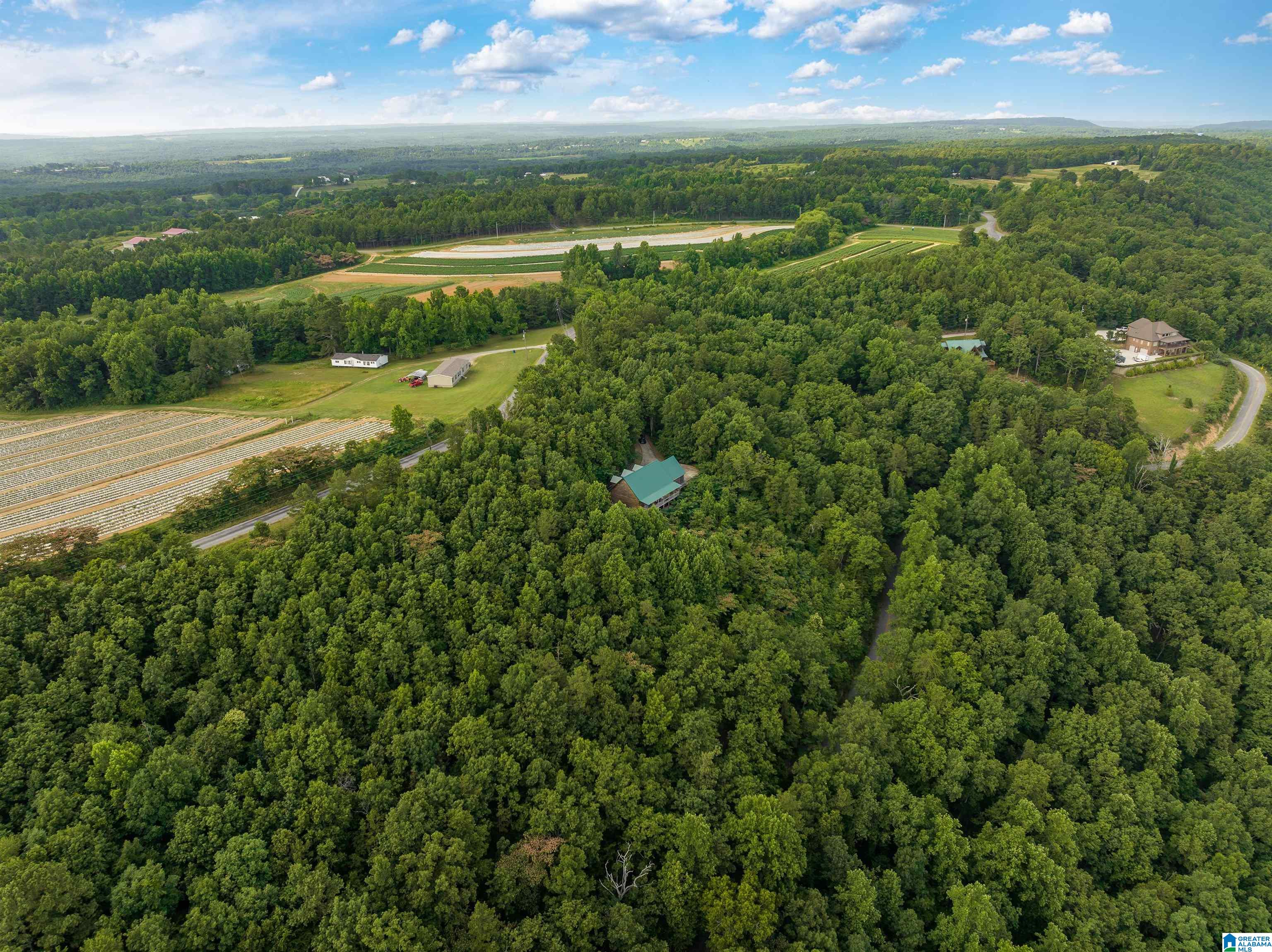 5924 Co Highway 24 Springville, AL 35146 - Photo 2 of 50