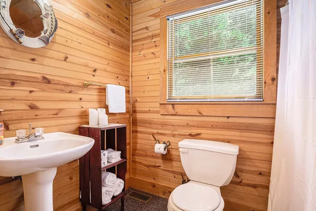 a bathroom with a toilet and a sink