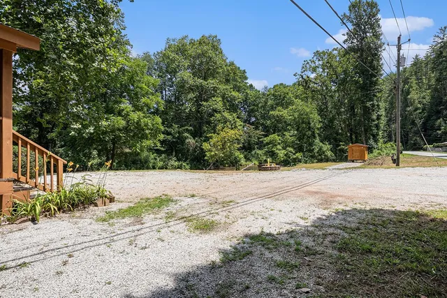 a view of a yard with plants and trees