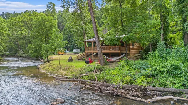 a view of a backyard with plants and a small yard