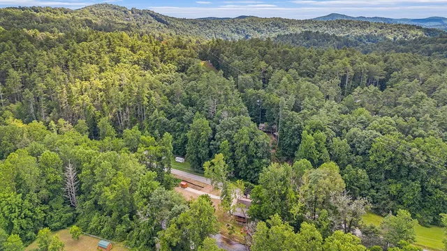 a view of a lush green forest with trees in the background