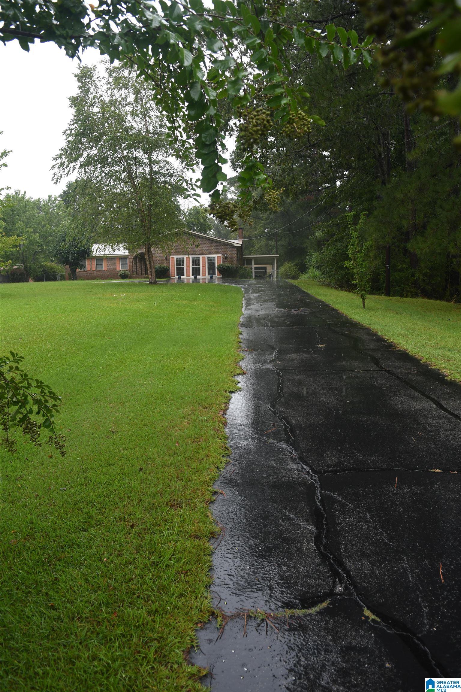817 Lauderdale Road Cuba, AL 36907 - Photo 4 of 36