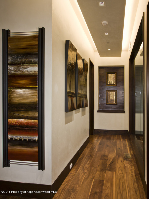 675 Aspen Alps Road South Aspen, CO 81611 - Photo 20 of 37 a view of an entryway