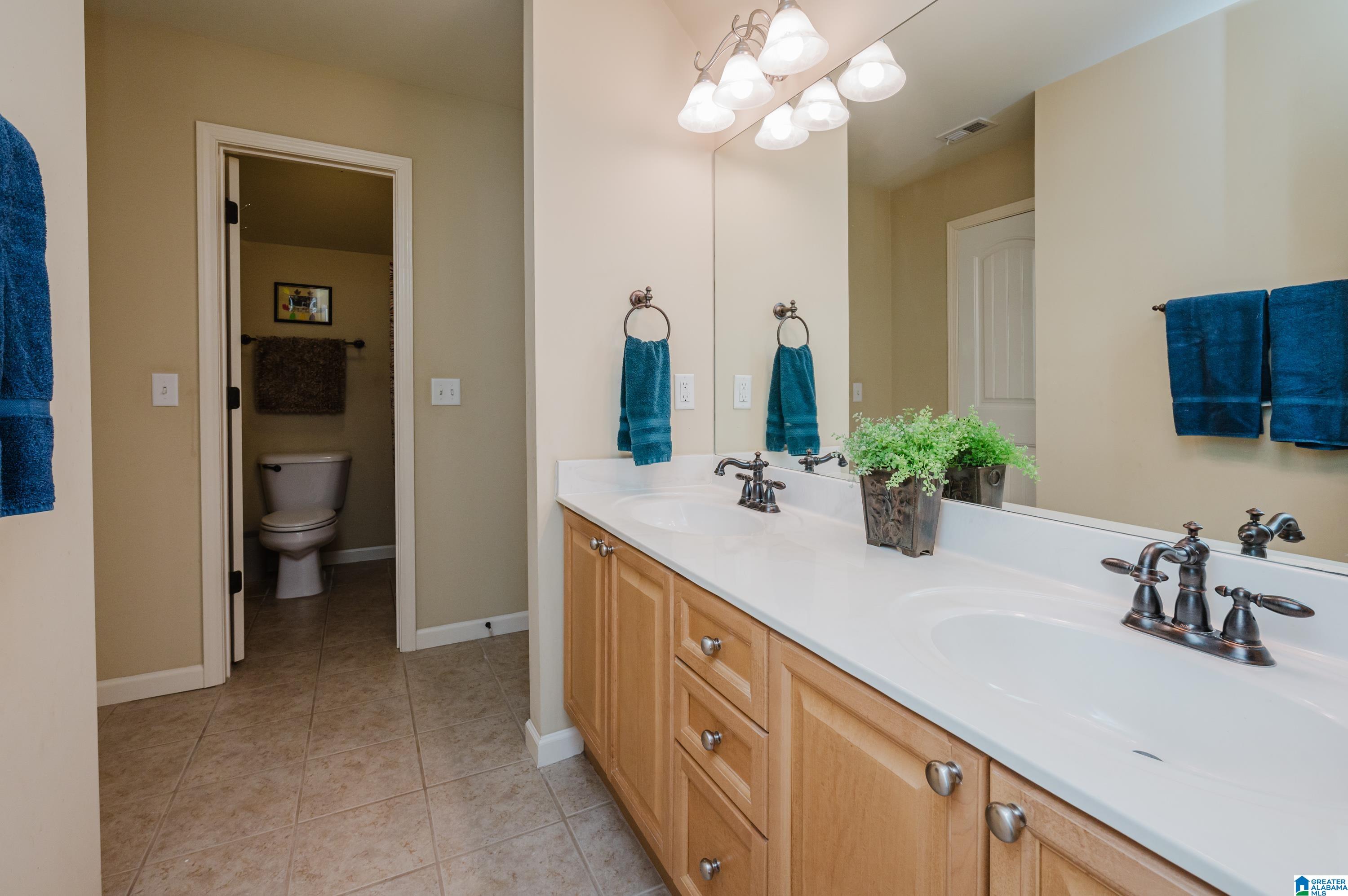 512 Baron Circle Chelsea, AL 35043 - Photo 48 of 81
