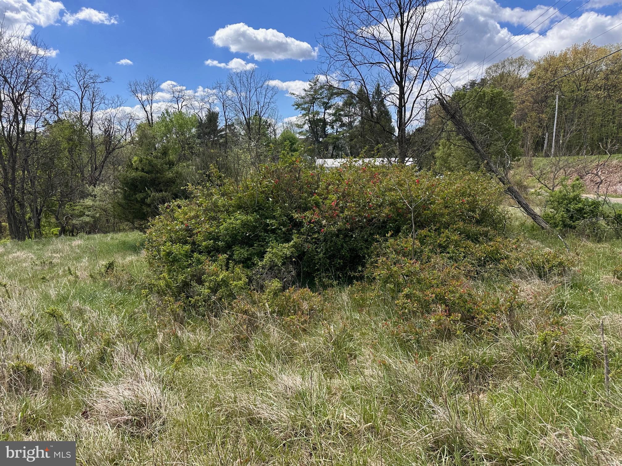 22.52-ac Winchester Grade Road Berkeley Springs, WV 25411 - Photo 14 of 15 Gallery Image 14