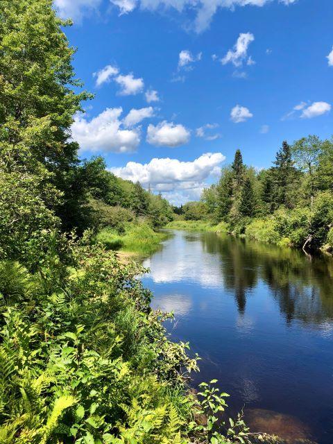 19 Foxtail Road Cherryfield, ME 04622 - Photo 41 of 43 RS-River still