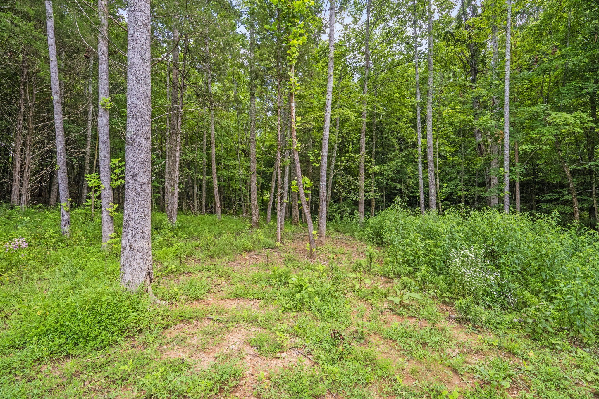 1068 Carl Perry Road Joelton, TN 37080 - Photo 52 of 58 Gallery Image 52