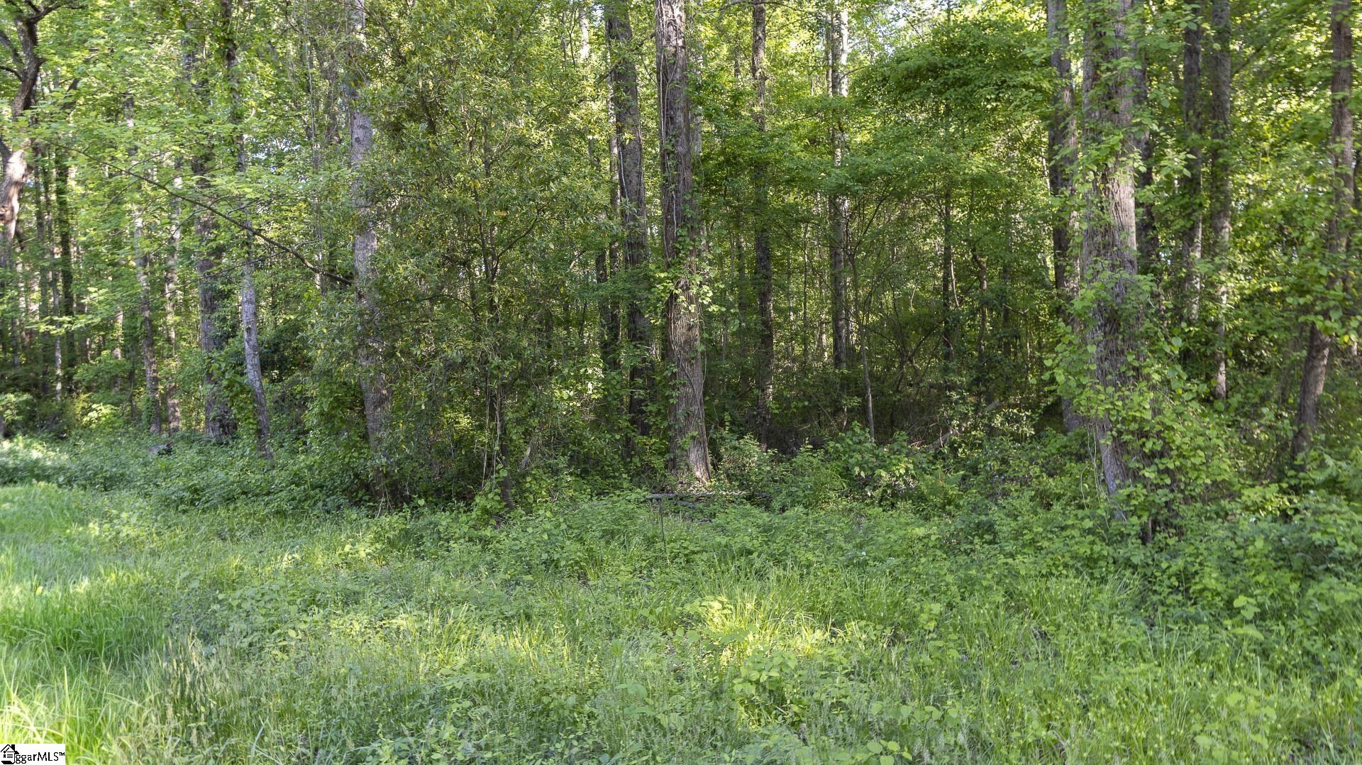 0 Botany Slopes Road Piedmont, SC 29673 - Photo 13 of 44