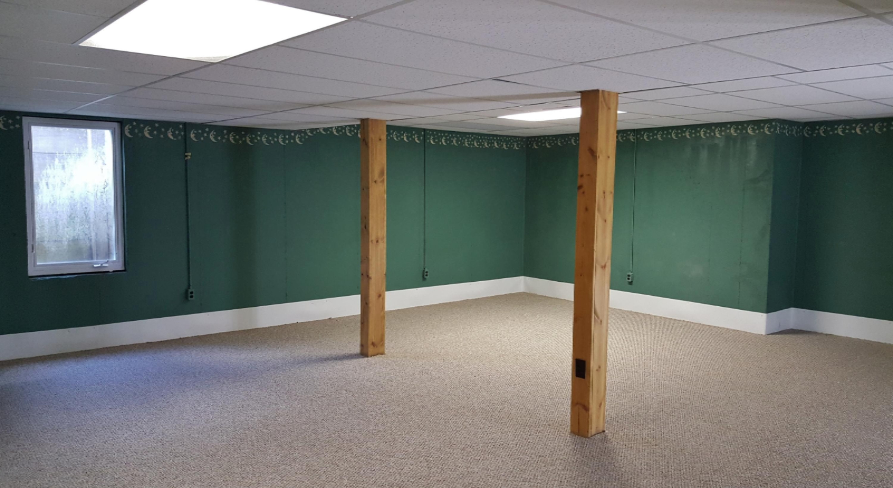 6659 Snyder Road Berrien Springs, MI 49103 - Photo 14 of 21 20160726_134822