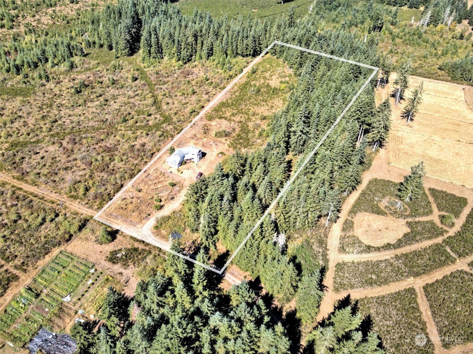 8172 Matlock-Brady Road Elma, WA 98541 - Photo 8 of 33 Gallery Image 8