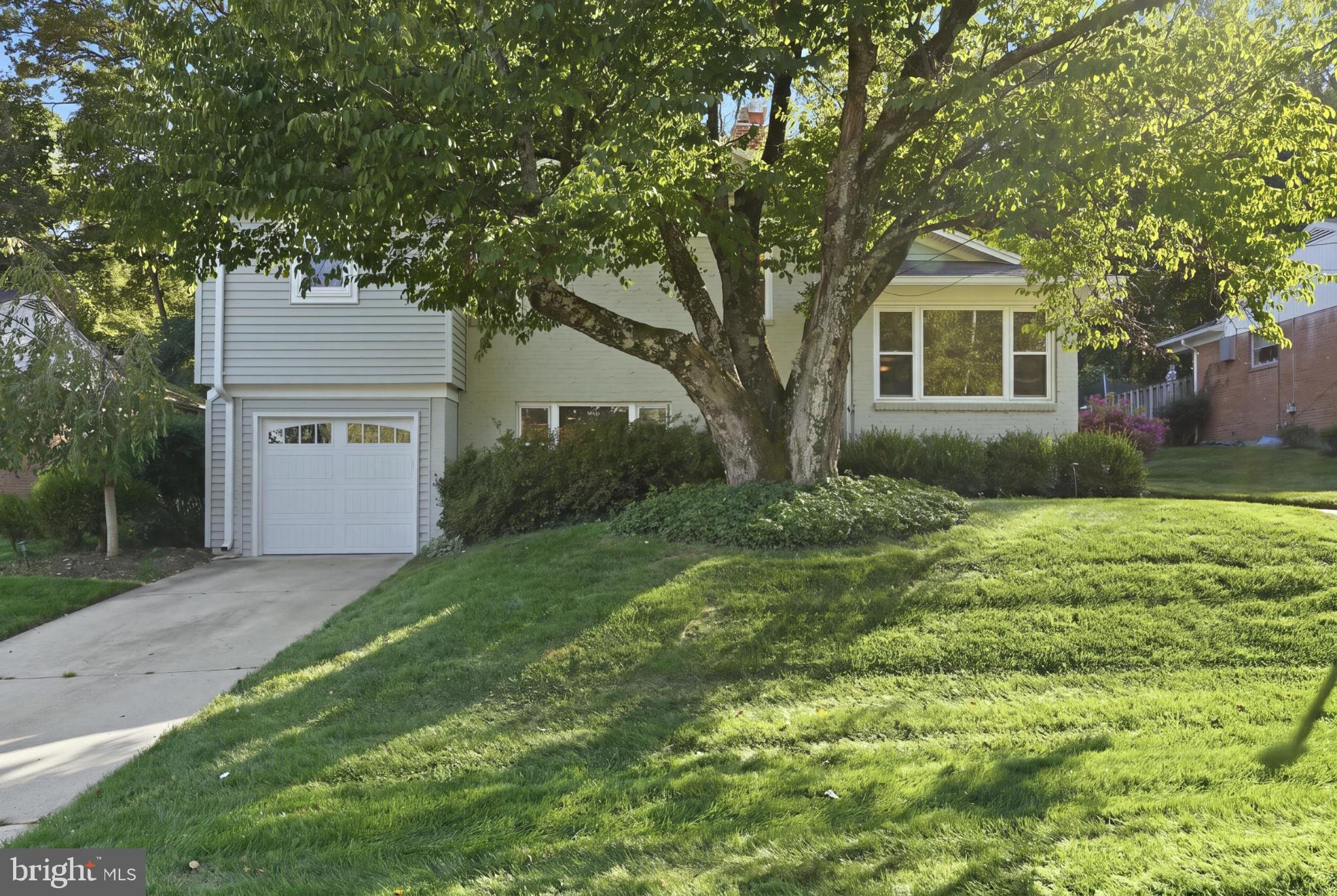 9107 Brierly Road Chevy Chase, MD 20815 - Photo 8 of 46 Gallery Image 8