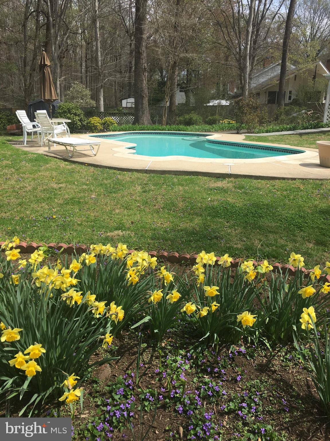 6016 Chapman Road Lorton, VA 22079 - Photo 6 of 47 Heated pool is surrounded by gardens, level lawn