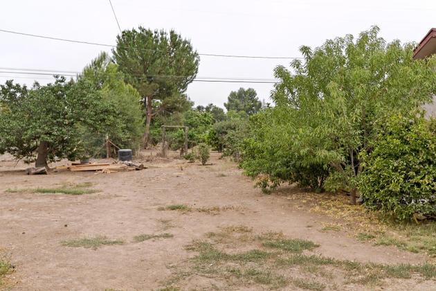 210 Sunset Avenue Oak View, CA 93022 - Photo 12 of 15 a view of a dry yard with trees