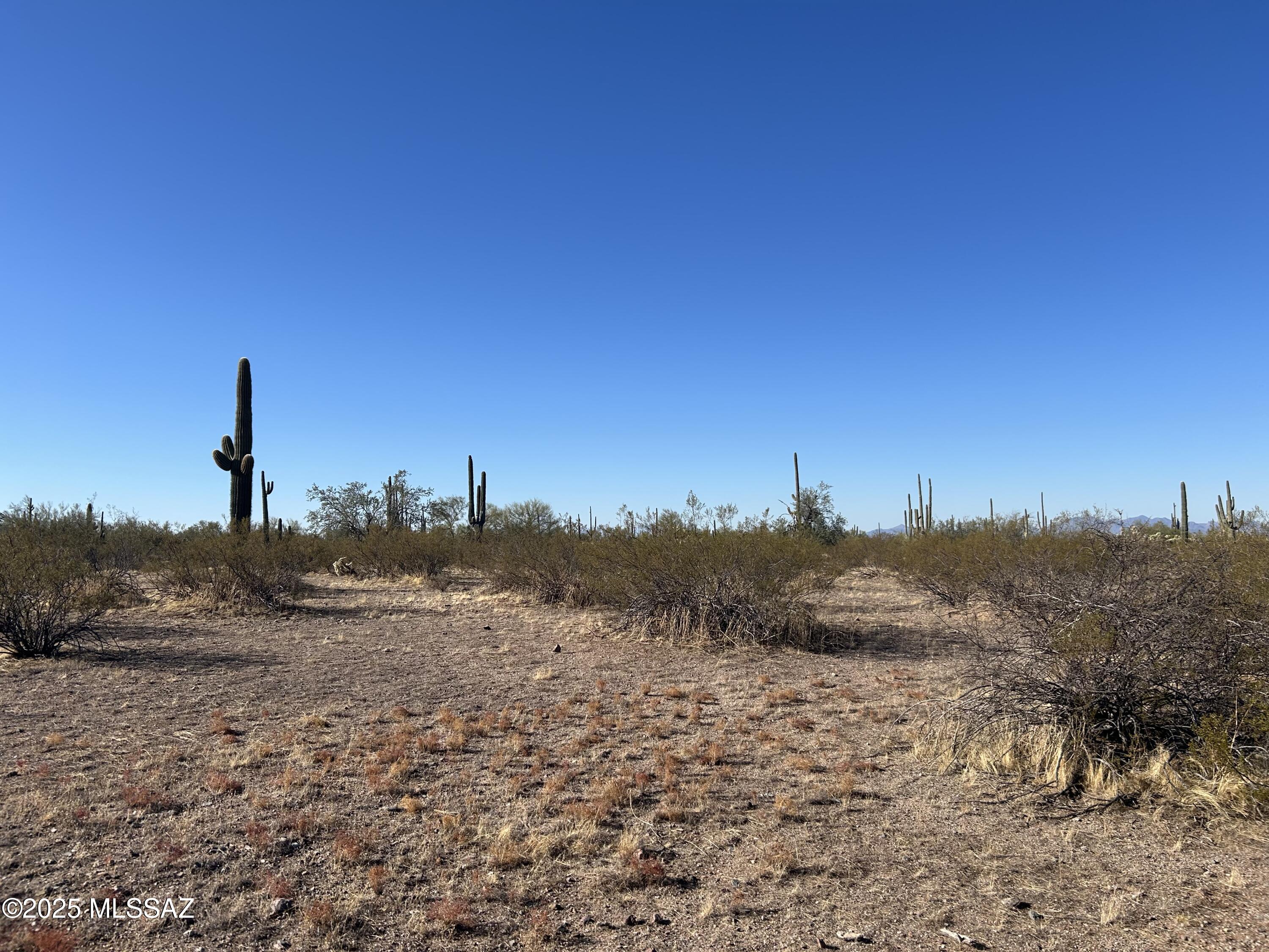 X South Cattle Tank Road Marana, AZ 85658 - Photo 8 of 8