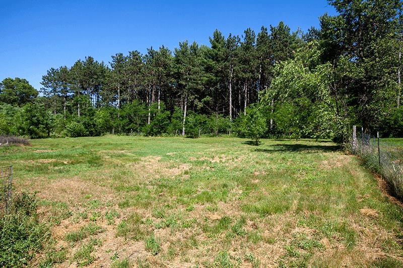 311 Highway 21 Friendship, WI 53934 - Photo 50 of 65