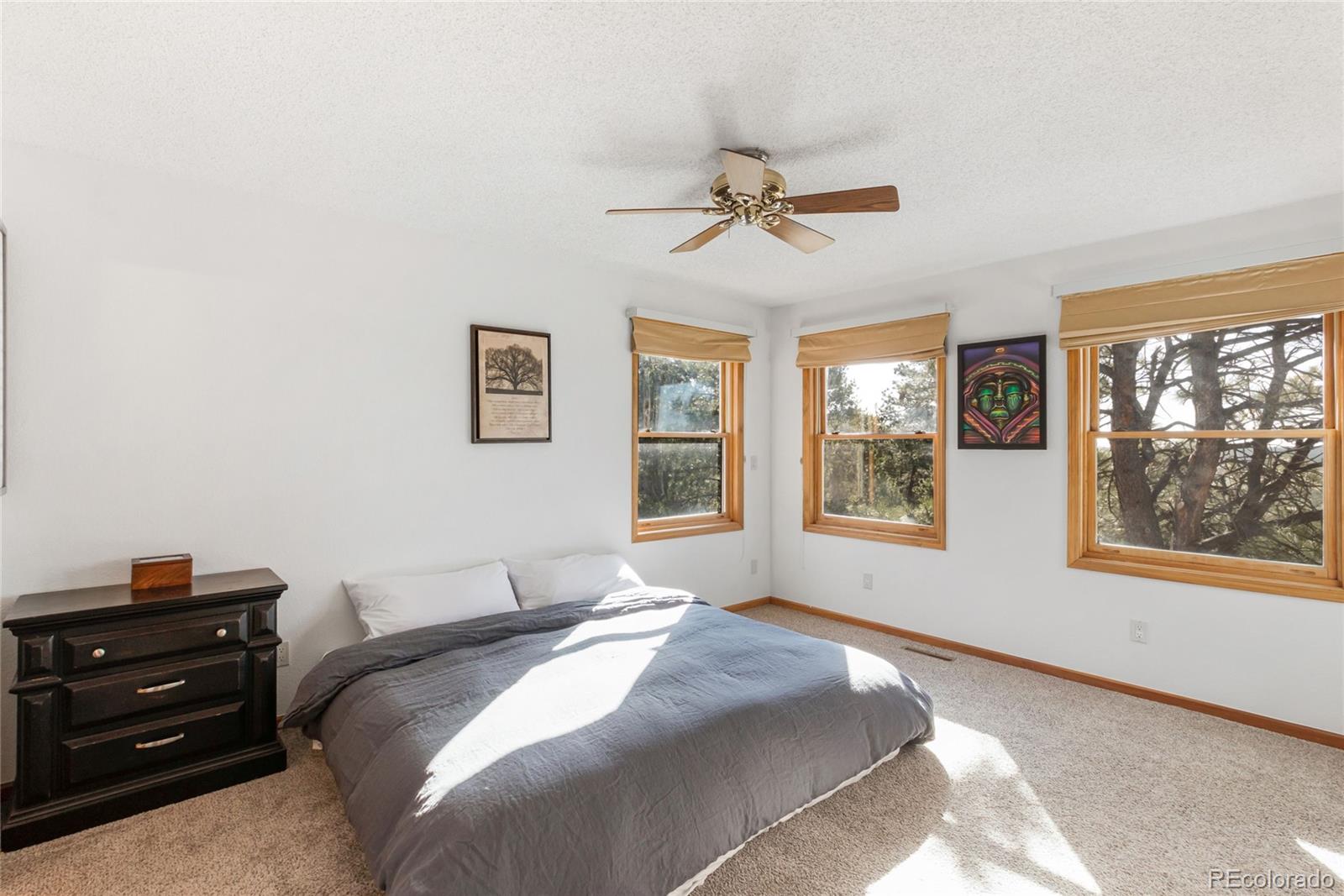 18673 North Elbert Road Elbert, CO 80106 - Photo 15 of 21