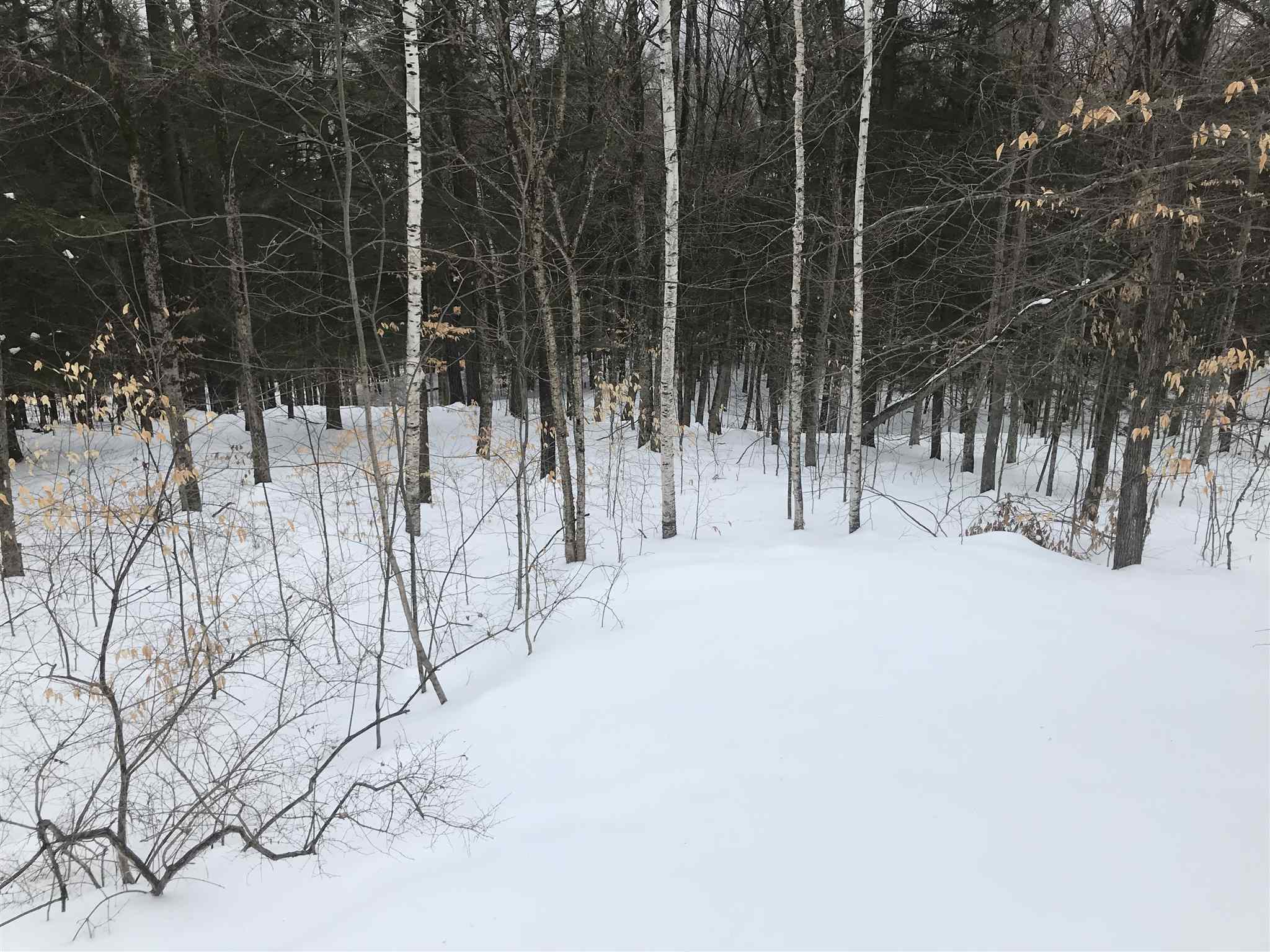 37 Ridge Road Enfield, NH 03748 - Photo 24 of 39