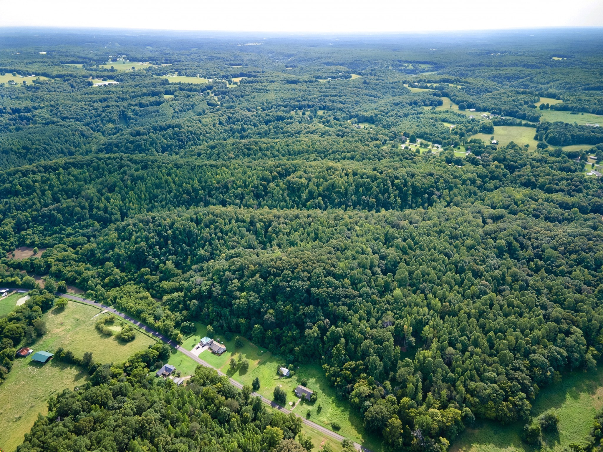 0 Dog Branch Road Goodspring, TN 38460 - Photo 6 of 46 Gallery Image 6