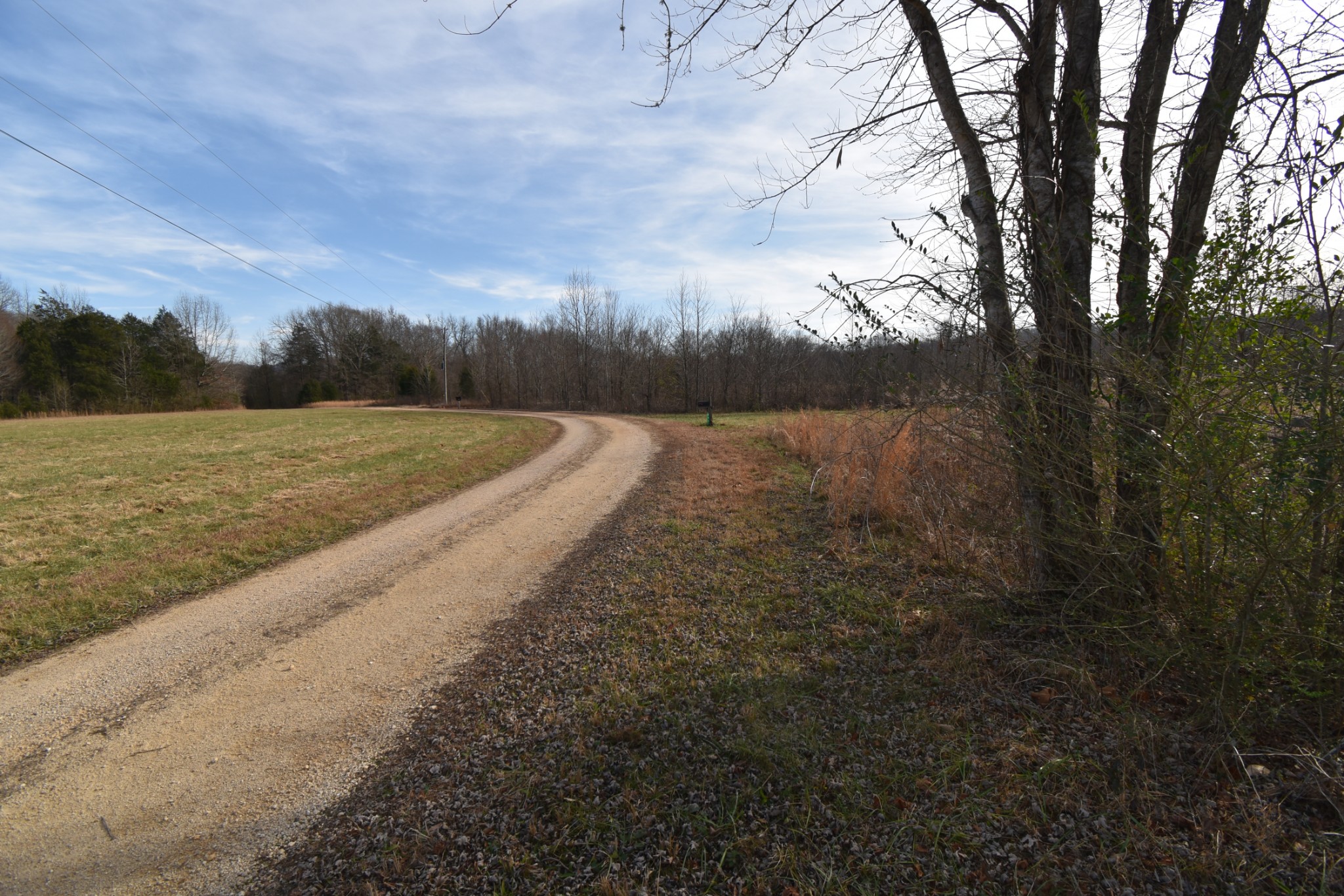 824 Buffalo Bottom Road Linden, TN 37096 - Photo 2 of 10 Gallery Image 2
