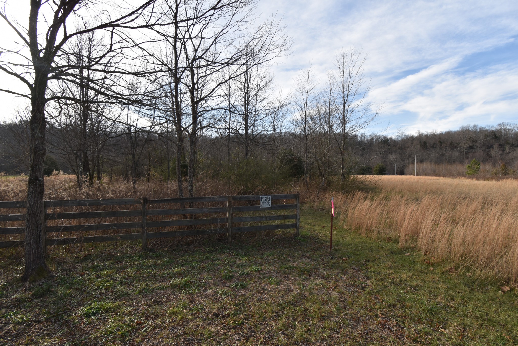 824 Buffalo Bottom Road Linden, TN 37096 - Photo 8 of 10 Gallery Image 8