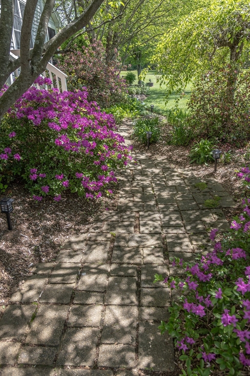 188 State Road Whately, MA 01373 - Photo 19 of 42 a view of a yard with plants and large trees
