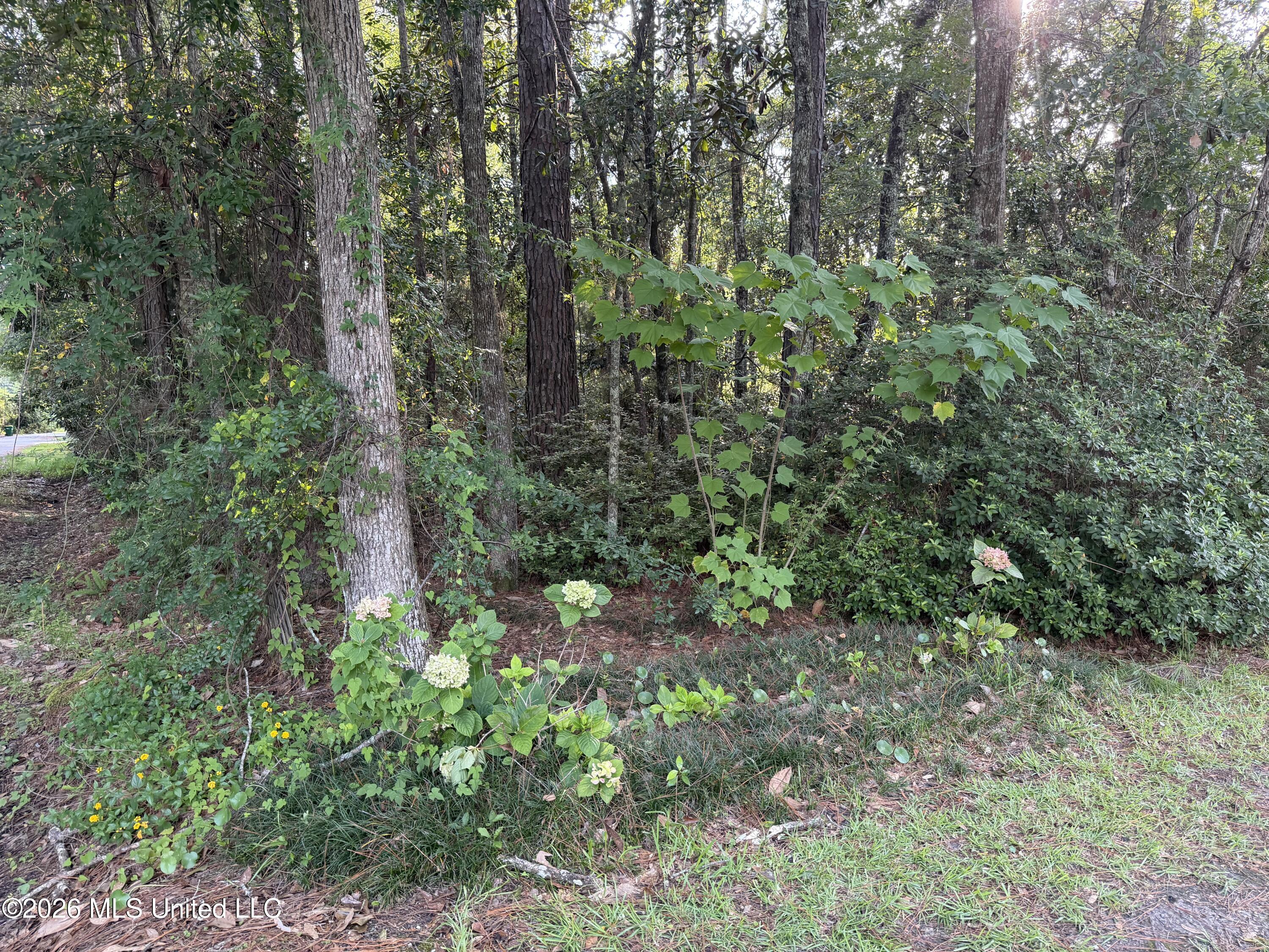 9141 Heather Lane Moss Point, MS 39562 - Photo 56 of 66 IMG_0779